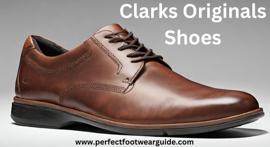 Clarks Originals Shoes