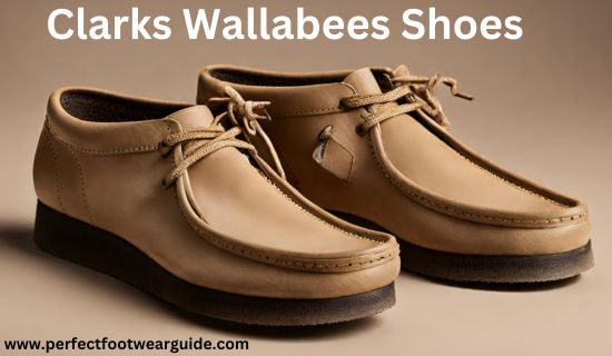 Clarks Wallabees Shoes